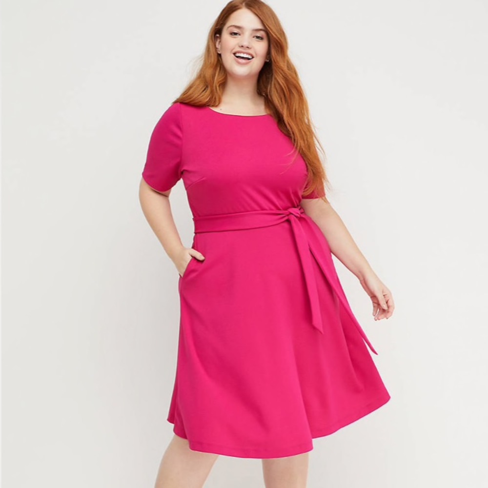 Beauticurve Lane Bryant Fit and Flare Dress